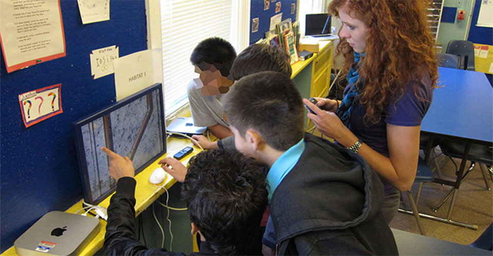 Wallcology: Technology based learning and scientific inquiry