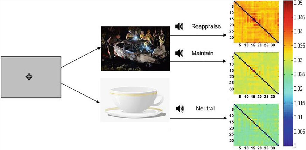 Thought Chart: Tracking Dynamic EEG Brain Connectivity with Unsupervised Manifold Learning