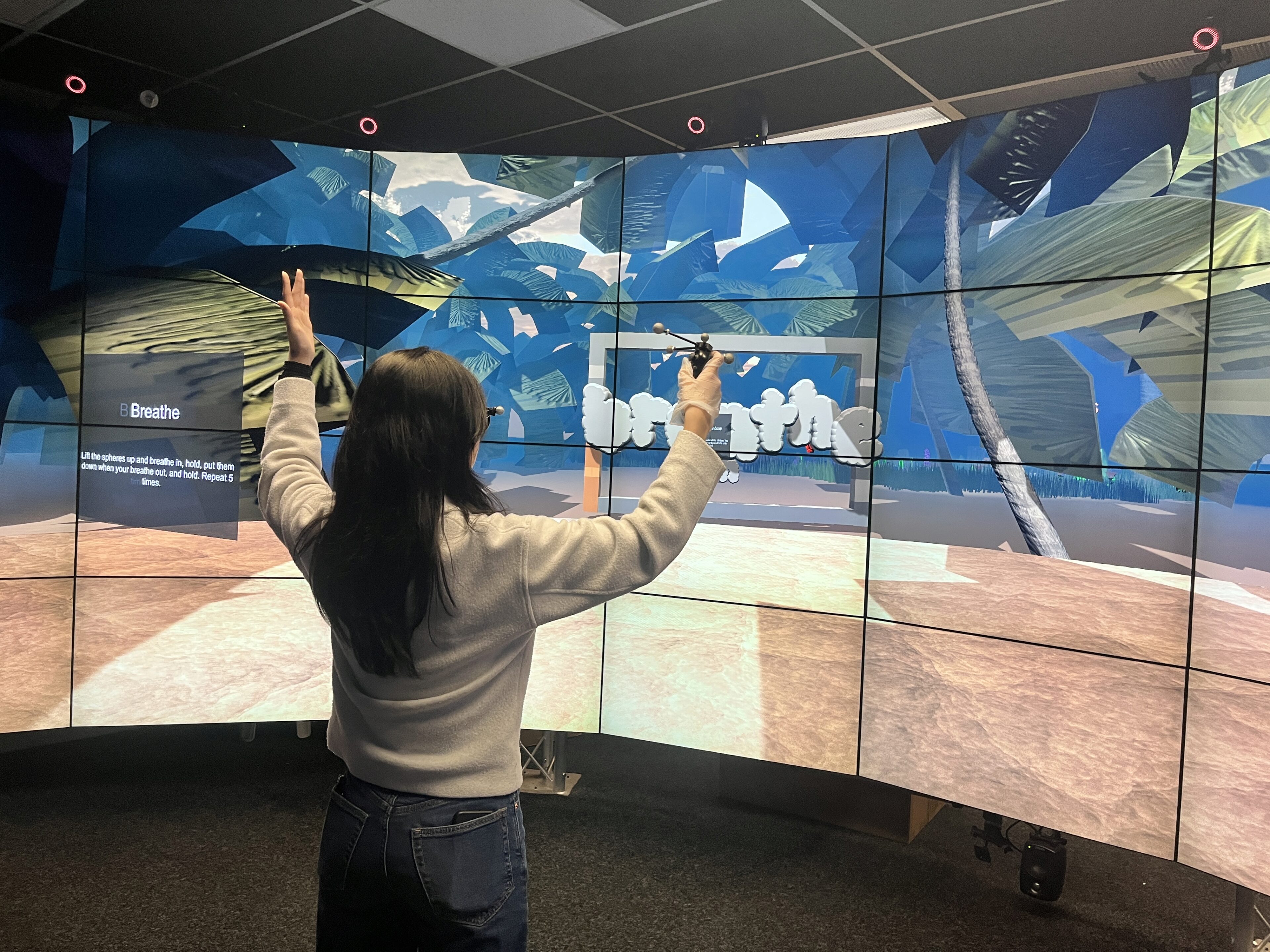 You Can Grow Here: A Therapeutic VR Journey for Anxiety Management