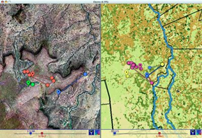 Visual Analysis of Social Behavior of Wild Animals